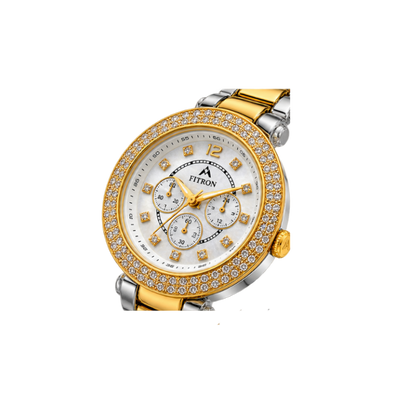 FITRON Luxury Chronograph Watch -N6100L